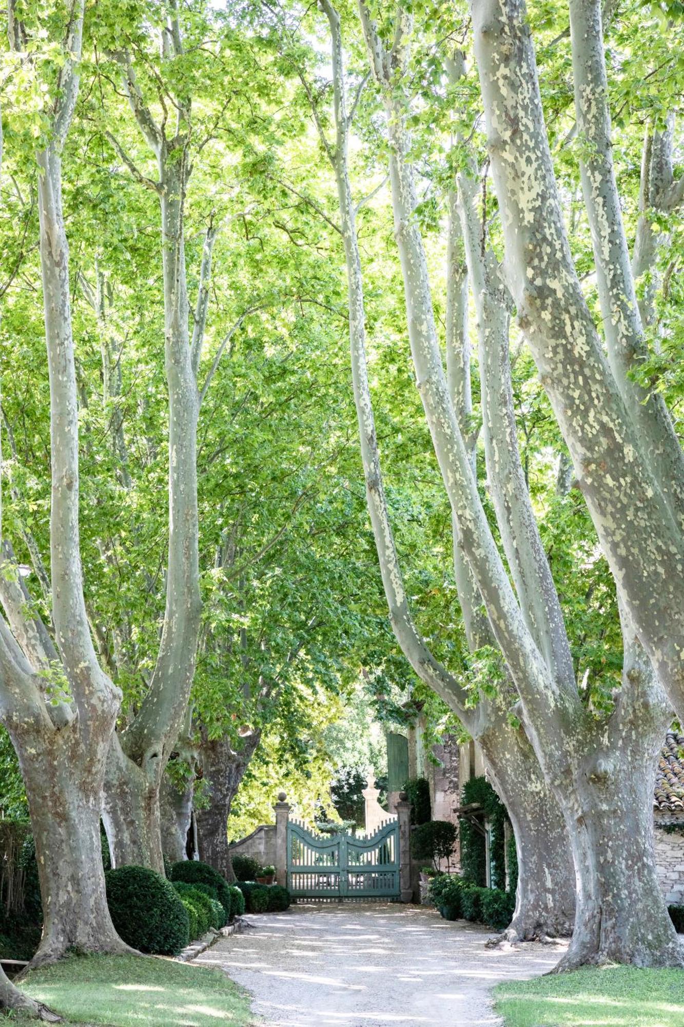 Bed and Breakfast Domaine De Chalamon Saint-Rémy-de-Provence Exteriér fotografie